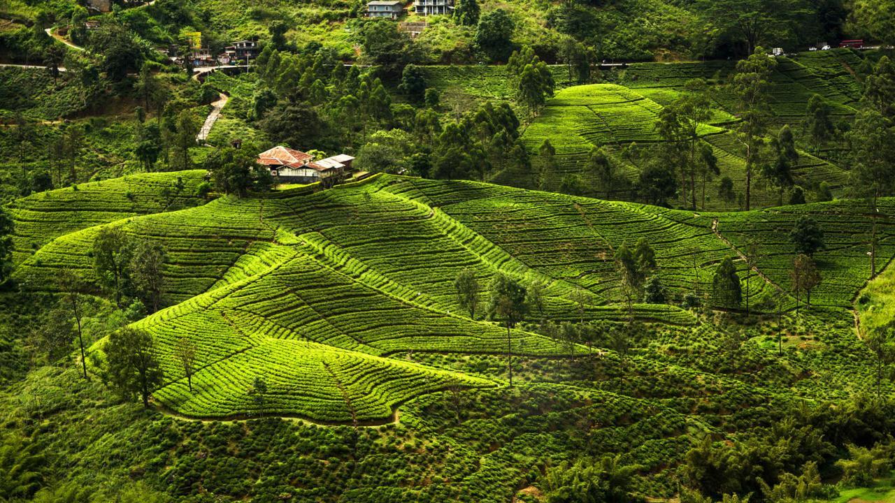 Kirula Green Hotel Nuwara Eliya Zewnętrze zdjęcie