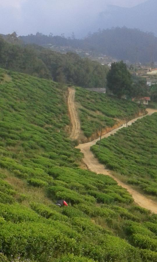 Kirula Green Hotel Nuwara Eliya Zewnętrze zdjęcie